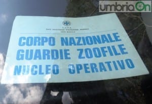 discarica abusiva giuncano val di serra81 enpa zoofile guardie
