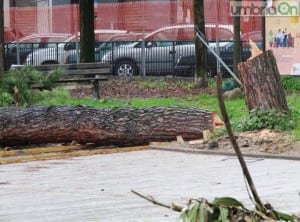 martiri della liberta alberi tagliati parco59