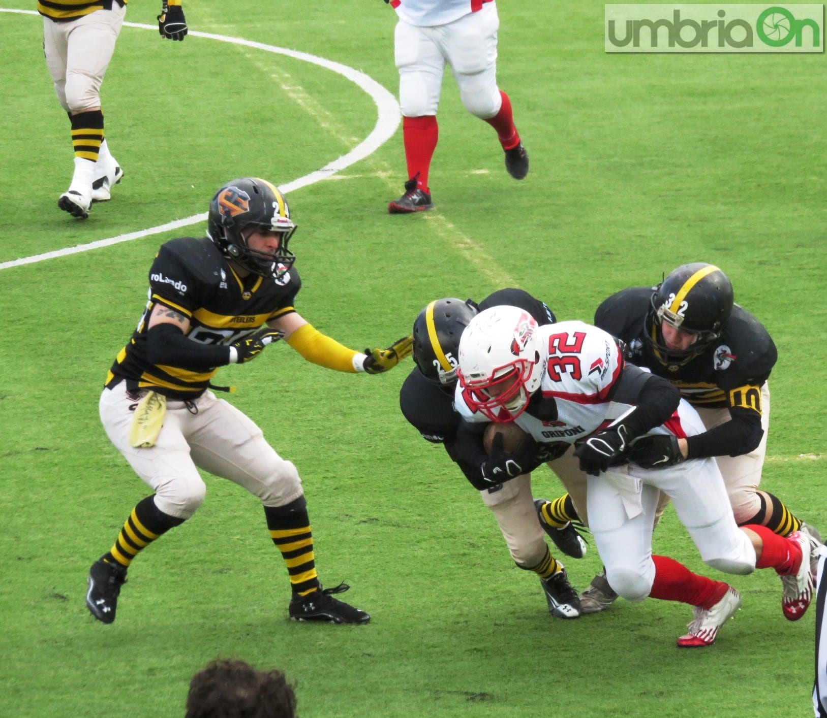 steelers grifoni football72 | umbriaON