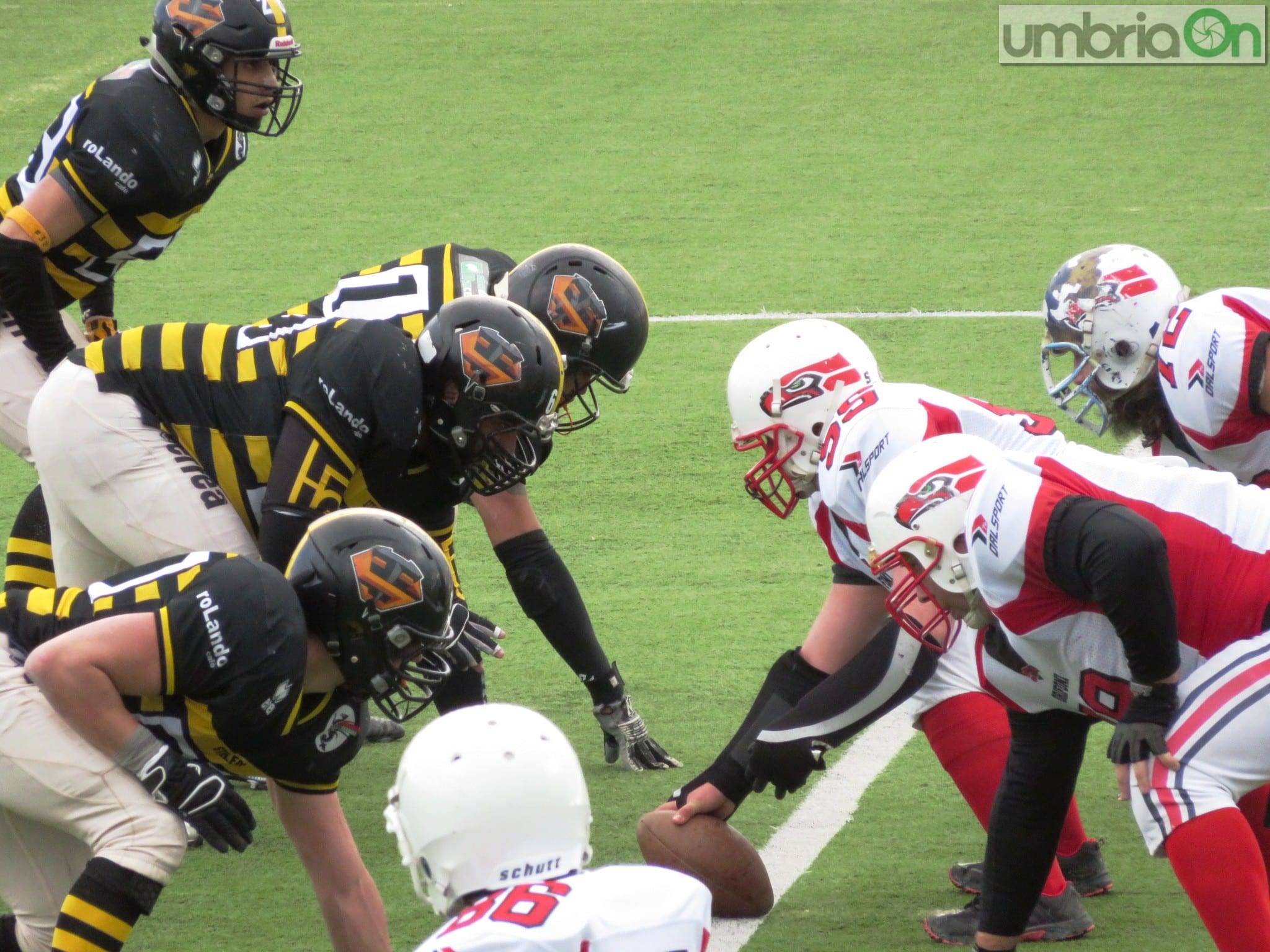 steelers grifoni football78 | umbriaON