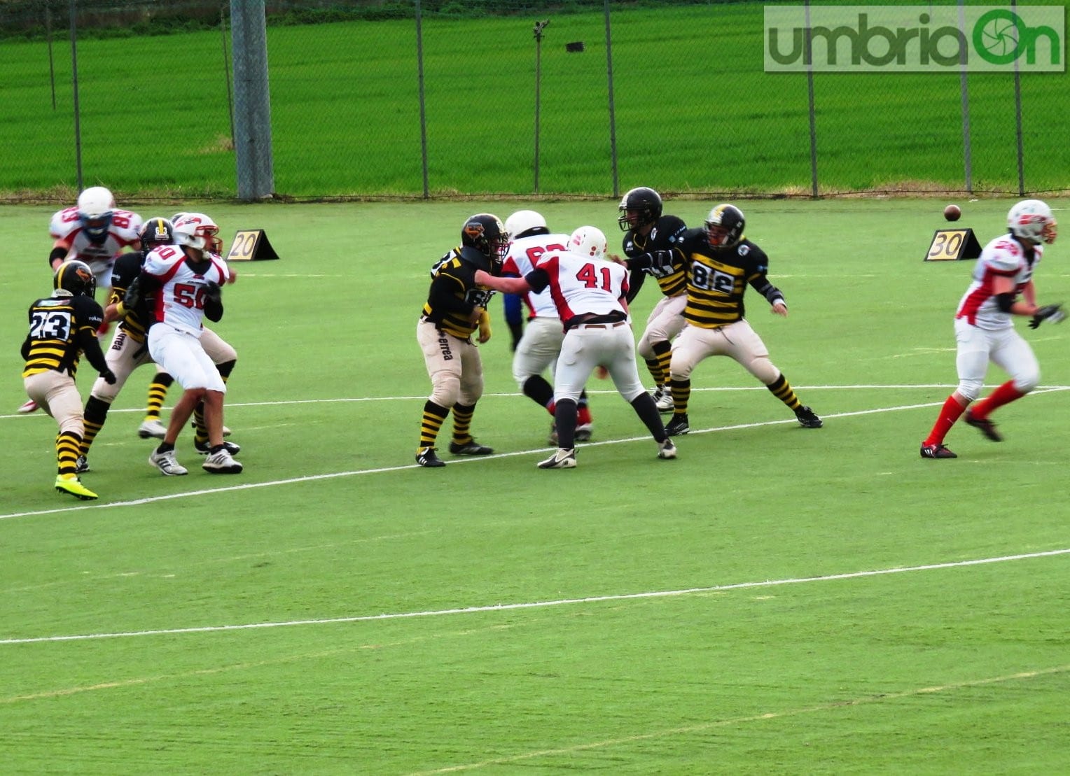 steelers grifoni football91 | umbriaON