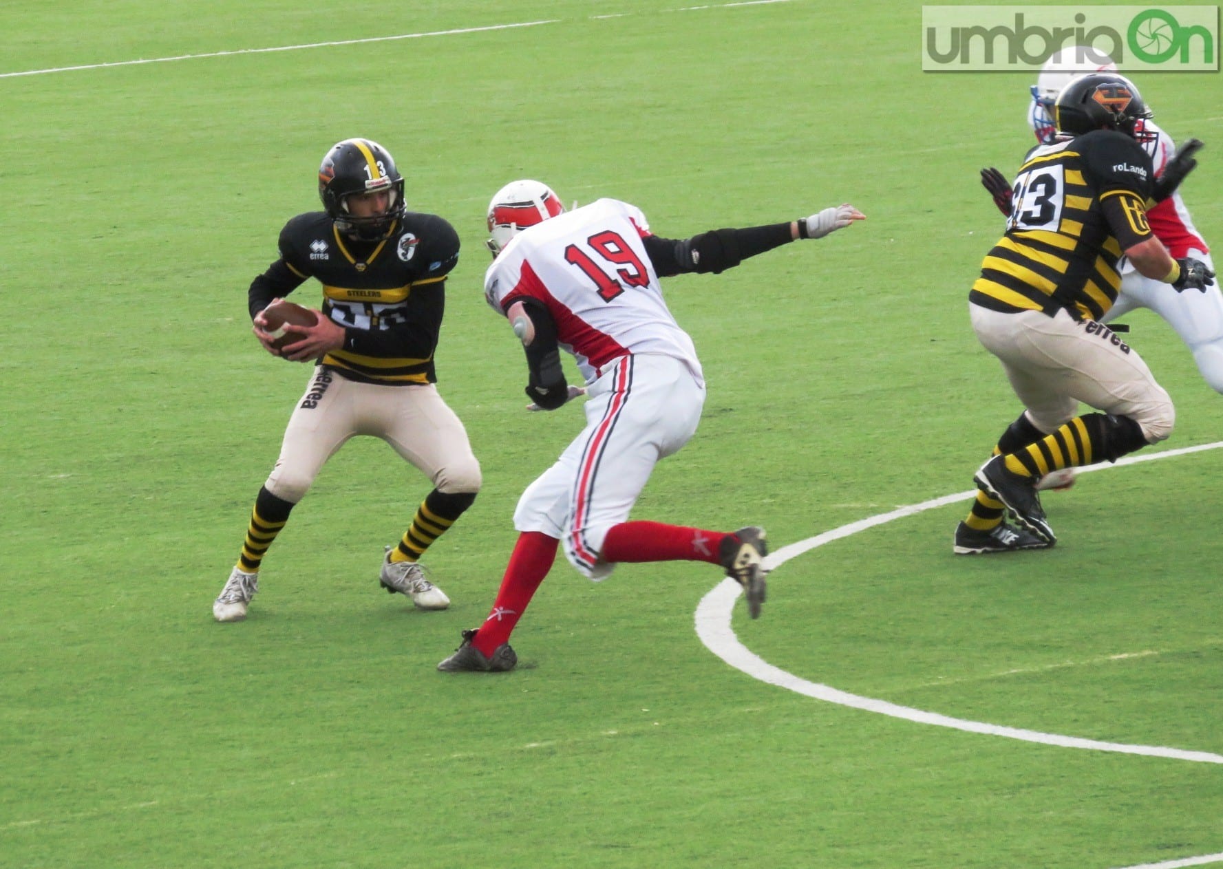 steelers grifoni football93 | umbriaON