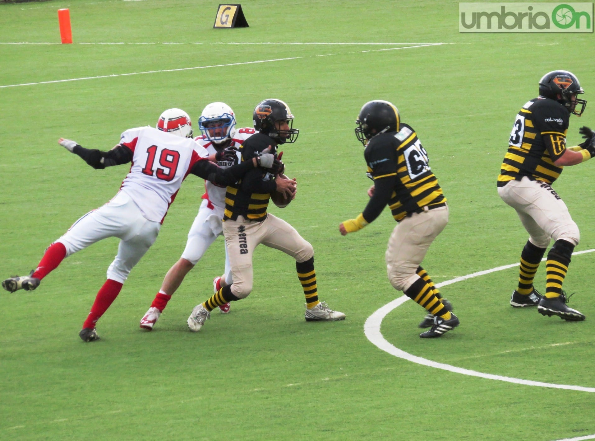 steelers grifoni football95 | umbriaON