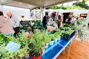 Mercato Scoperto (foto Belfiore)