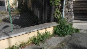 Perugia ex sede telecom (4)