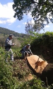 Gli agenti in azione