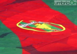 Ternana stemma coreografia curva viverna2