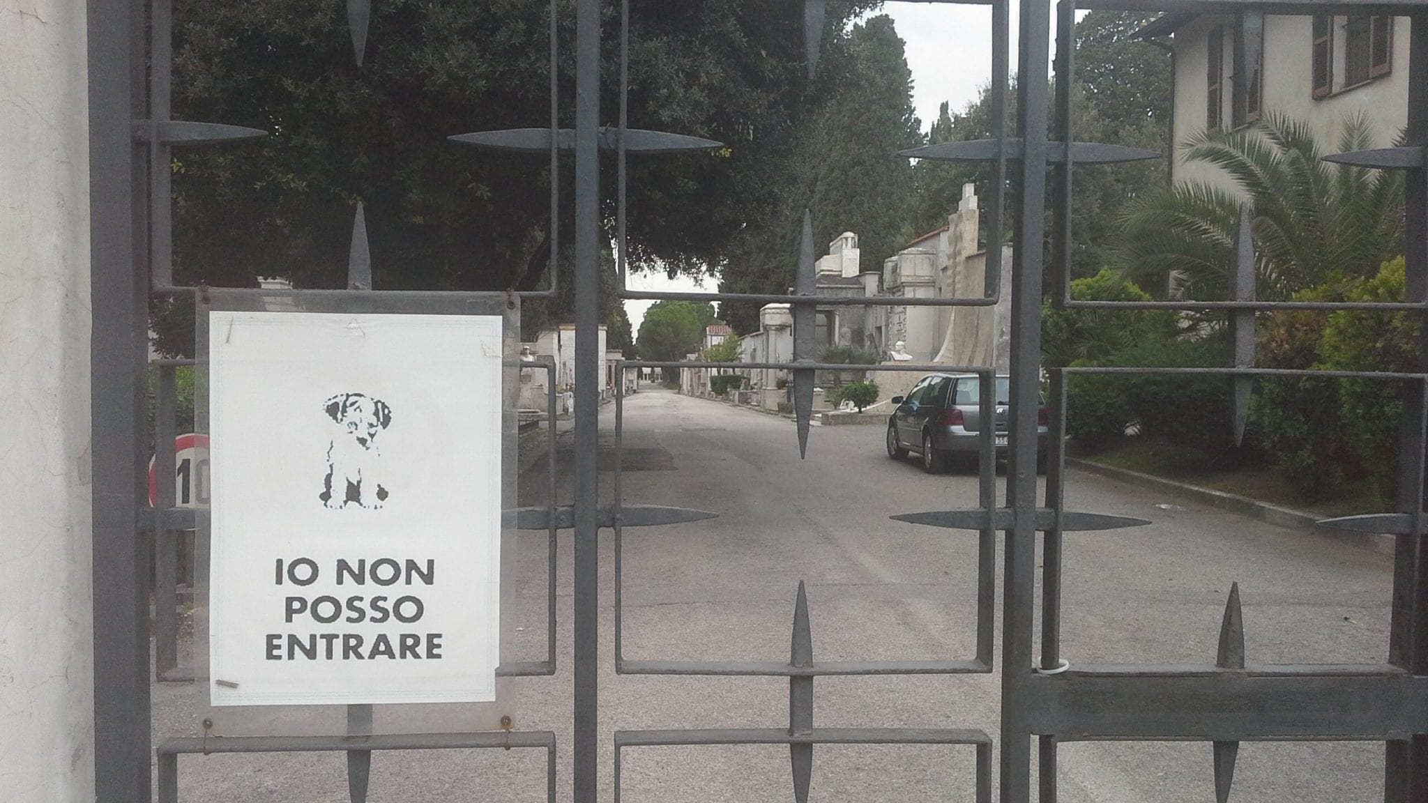 «Terni ama i cani, però li chiude fuori»