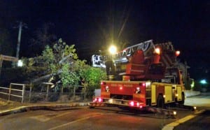 Albero caduto via Ippocrate, Terni - 4 maggio 2016