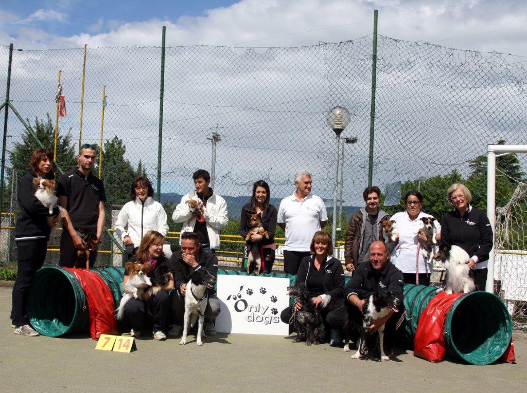 Marmore sarà cornice per le gare ‘Agility dog’