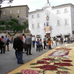 Fiori e colori, domenica San Gemini in festa