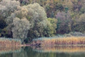 Il lago di Ventina