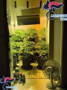 Serra piante marijuana Terni, due arresti carabinieri - 21 maggio 2016 (2)