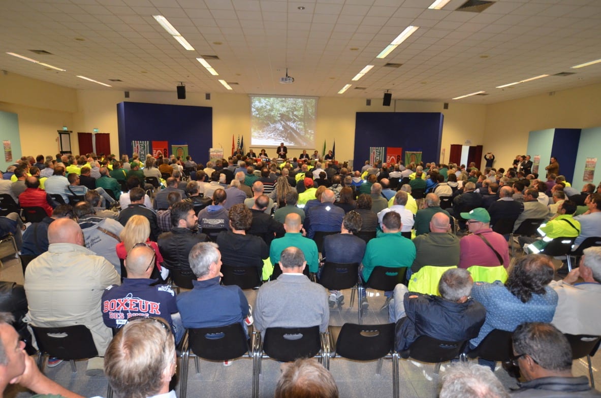 Umbria, ‘forestali’: impegni dalla Regione