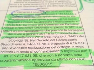 Un 'estratto' della delibera di giunta regionale