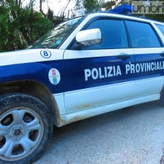 Polizia provinciale: «Presidio di legalità»