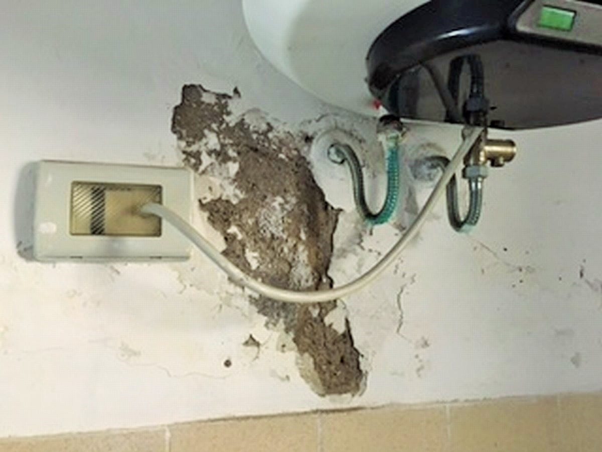 Terni, scuola Mazzini: «Degrado e liquami»