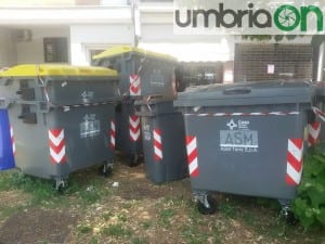 Terni via gramsci asm cassonetti raccolta differenziata (7)