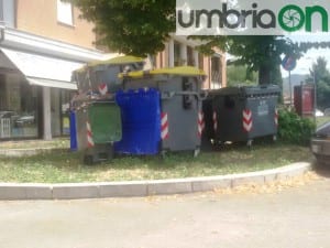 Terni via gramsci asm cassonetti raccolta differenziata (8)