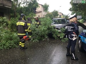 Albero caduto su auto terni1