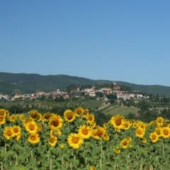 Terni, ‘Wao festival’: cultura e sostenibilità