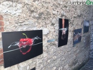 acquafestival (1)