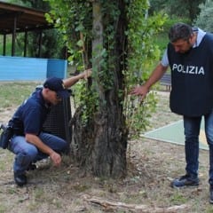 Perugia, spaccio al parco: nuovo arresto