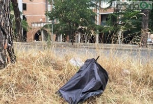 Aiuola sparti traffico via Di Vittorio, sporco e immondizia - 30 agosto 2016 (4)