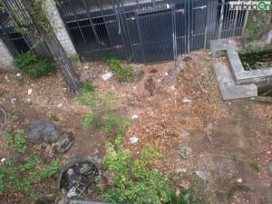 Terni via della Rinascita2
