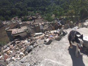 terremoto arquata del tronto pescara del tronto vigili del fuoco (1)