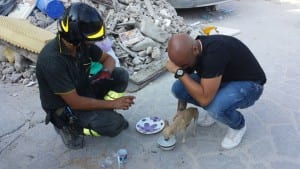 vigili del fuoco terremoto2