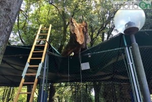 Albero ramo caduto giochi tappeti elastici La Passeggiata Terni - 2 settembre 2016 (4)