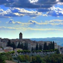 La ‘Festa dell’olio’ di Montecchio: «Tra tradizione e novità»