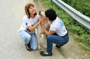enpa-narni-e-guardie-eco-zoofile-collescipoli-aiuti-a-terremotati-11-settembre-2016-2