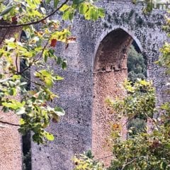Terremoto, Spoleto: «Ecco i nostri danni»