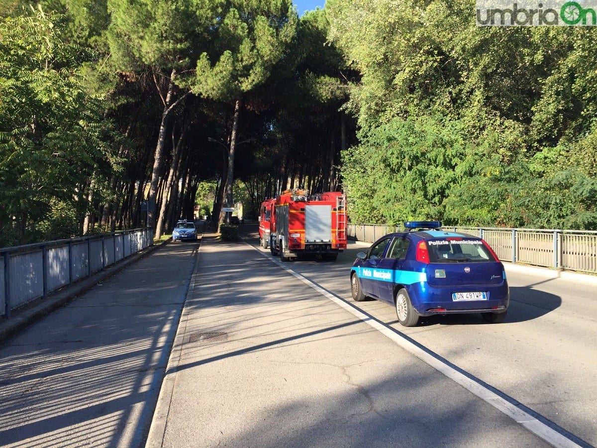 Terni, cade nel Nera e si salva da solo