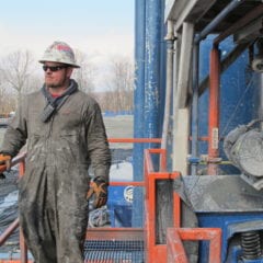 Lavoro in Umbria, Excelsior incoraggia