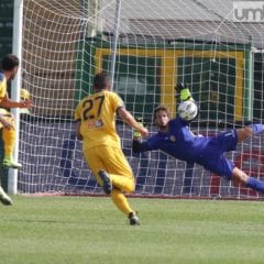 Ternana-Verona 0-3 vista da Mirimao