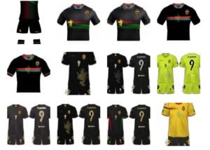 Alcune delle maglie ‘approvate’ (foto ternanacalcio.com)