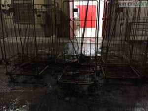 terni-incendio1