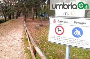 Perugia, Percorso Verde Pian di Massiano foglie gialle