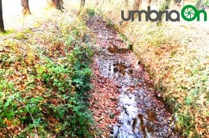 Perugia, Percorso Verde Pian di Massiano canale di scolo con foglie gialle