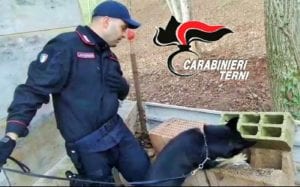 carabinieri-arrestano-tre-albanesi-fra-terni-e-spoleto-droga-7-dicembre-2016-1