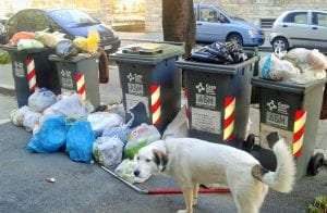 immondizia-rifiuti-e-degrado-via-ferraris-via-galvani-a-terni-29-dicembre-2016-1