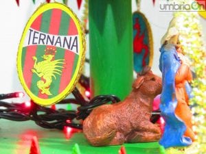 Natale amaro in casa Ternana