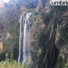 Leonardo alla Cascata, gli ‘arancini’ di Tomìo