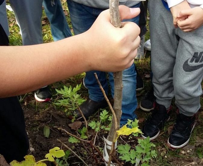 Narni, piantano alberi per celebrare diritti