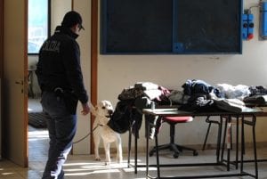 cane-controlli-cani-istituto-istituti-polizia