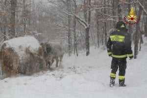 terremoto vigili del fuoco neve