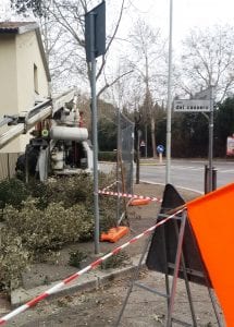 terni taglio alberi 3